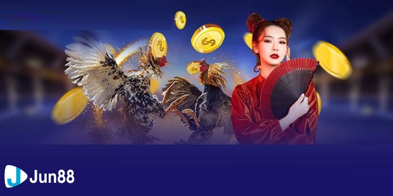 kèo đá gà trực tiếp Tổng quan về kèo đá gà trực tiếp dễ hiểu cho newbie