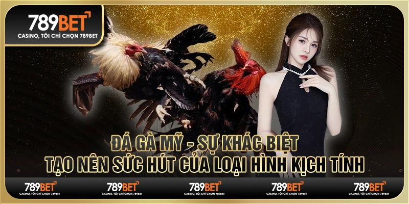 Đá gà Mỹ - Sự khác biệt tạo nên sức hút của loại hình kịch tính