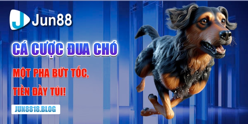 Cá cược đua chó