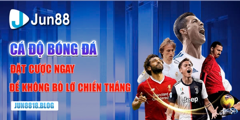 bí kíp cá độ bóng đá
