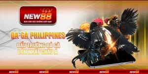 Đá gà Philippines